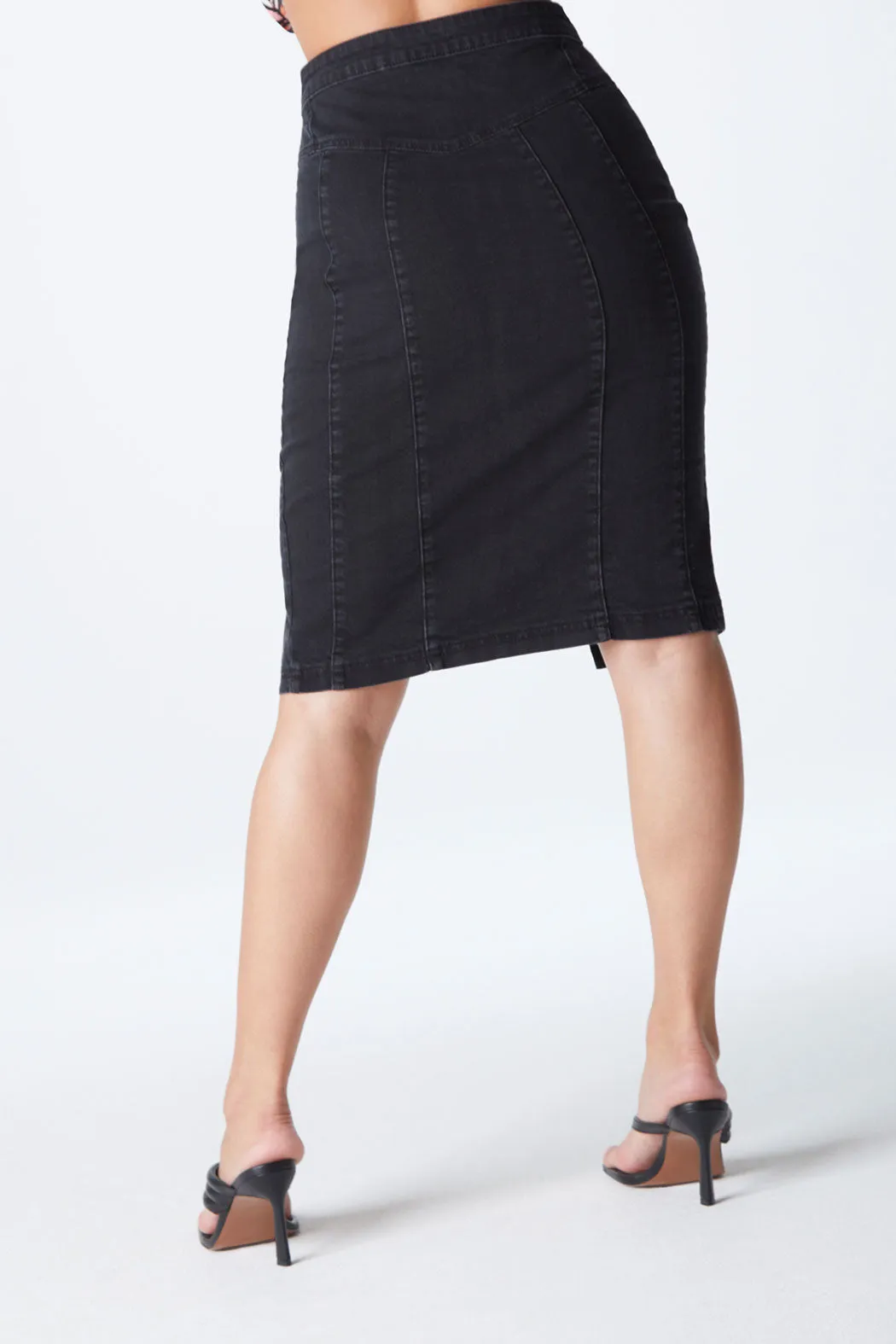 Black Aqua Yoke Seamed Skirt