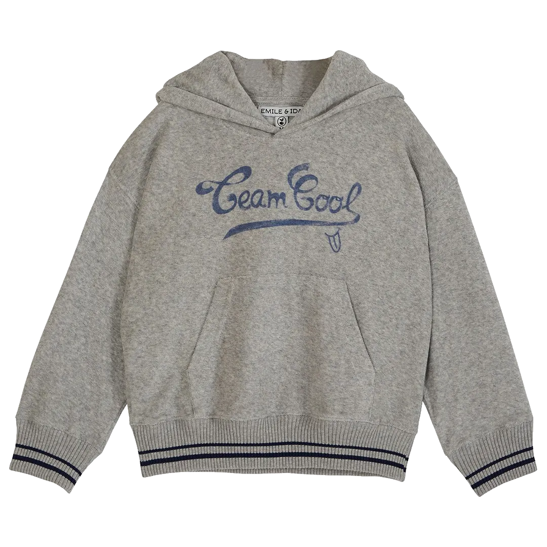 Team Cool Terry Hoodie - Grey