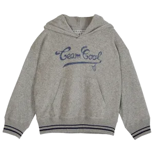 Team Cool Terry Hoodie - Grey